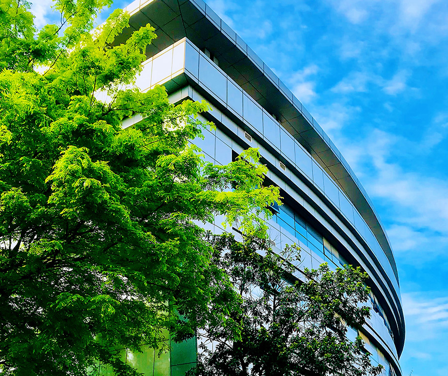 6t����(6TSPORTS)�����Źɷݹ�˾