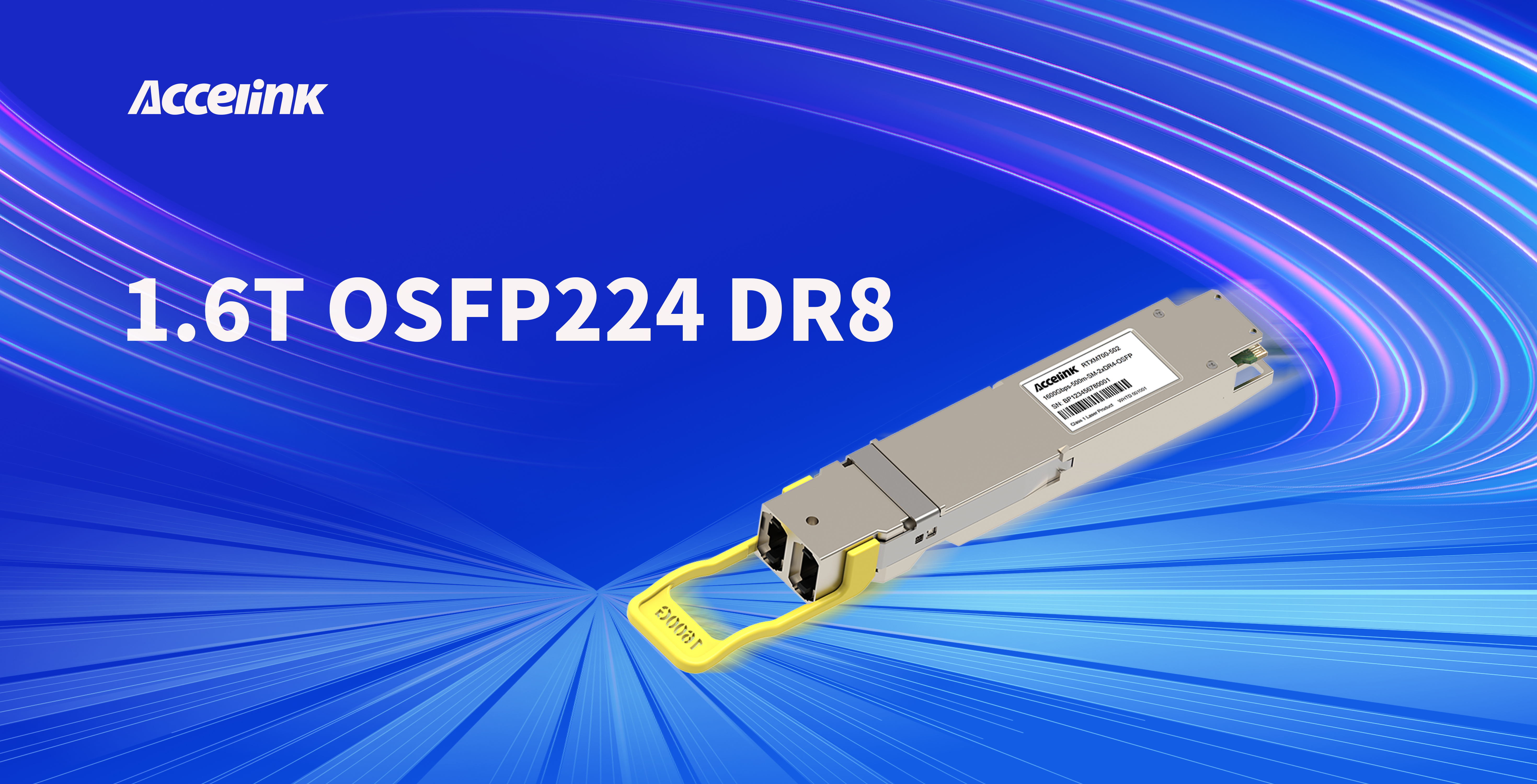 6t����(6TSPORTS)�����Źɷݹ�˾