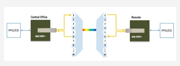 6t����(6TSPORTS)�����Źɷݹ�˾