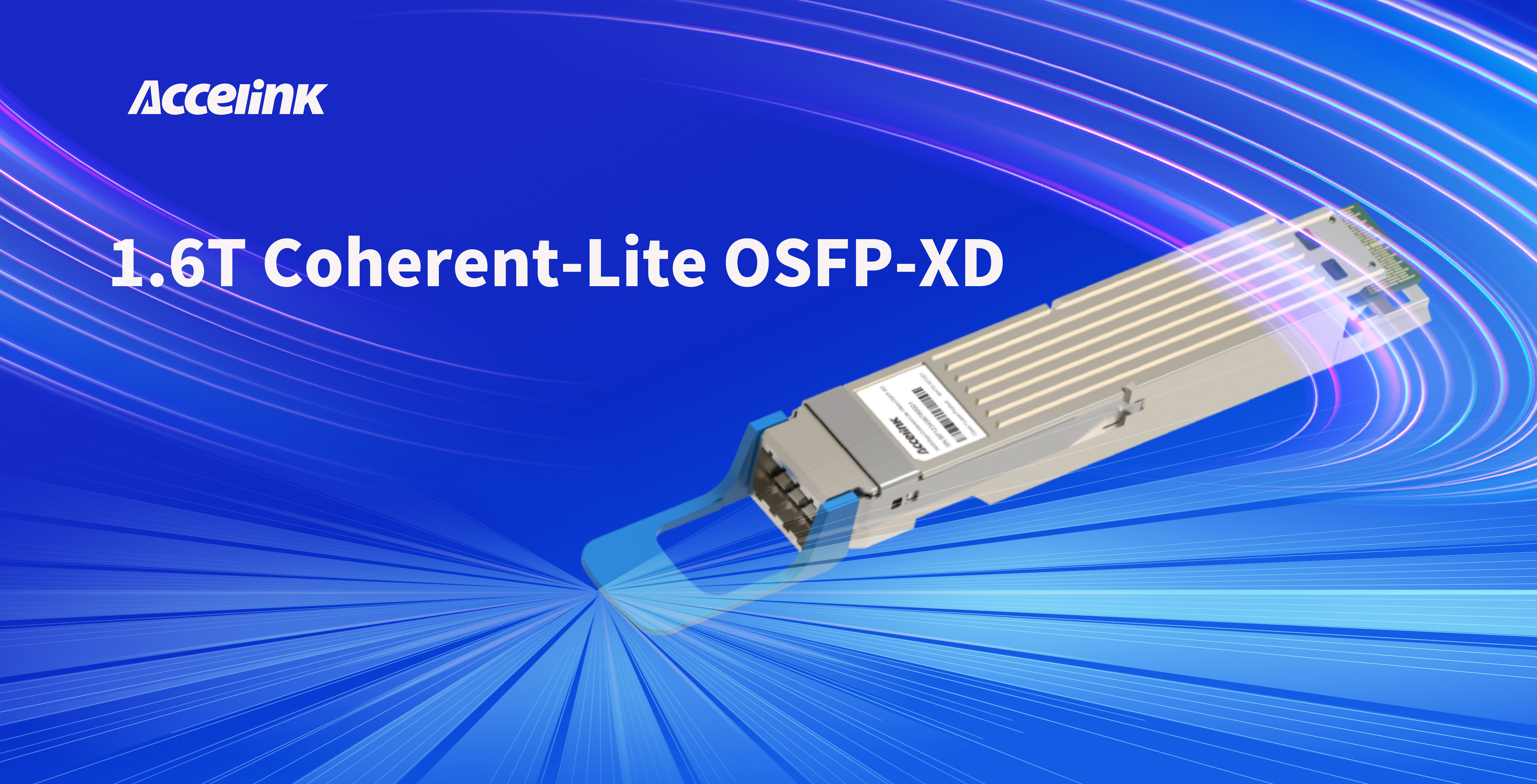 6t����(6TSPORTS)�����Źɷݹ�˾